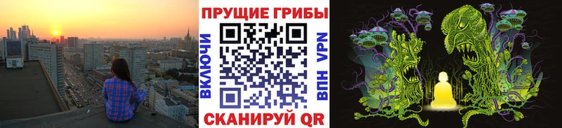 Галлюциногенные грибы Psilocybine cubensis Омутнинск